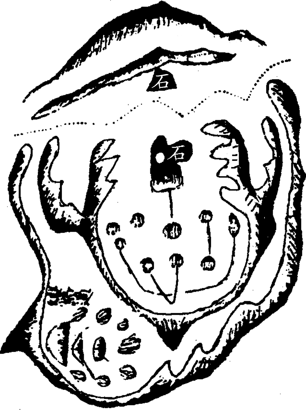 6.png