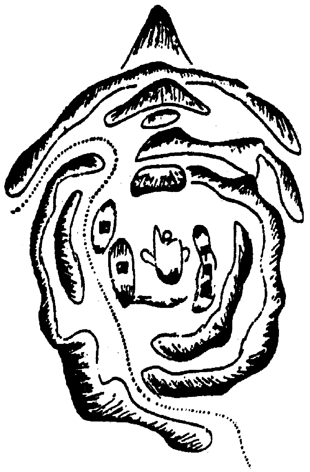 8.png