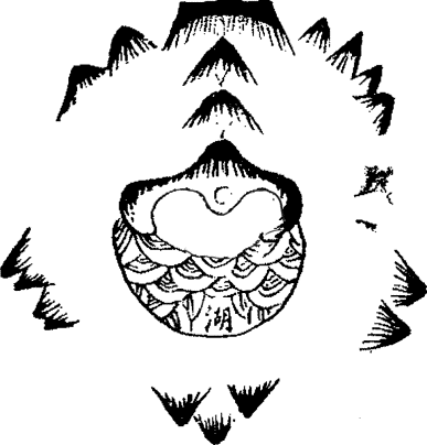 08.png